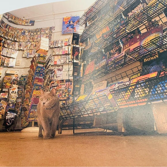 Cats at Work Postcard Book (1991, Abbeville Press) – 30 Vintage Postcards - Picture 8 of 10